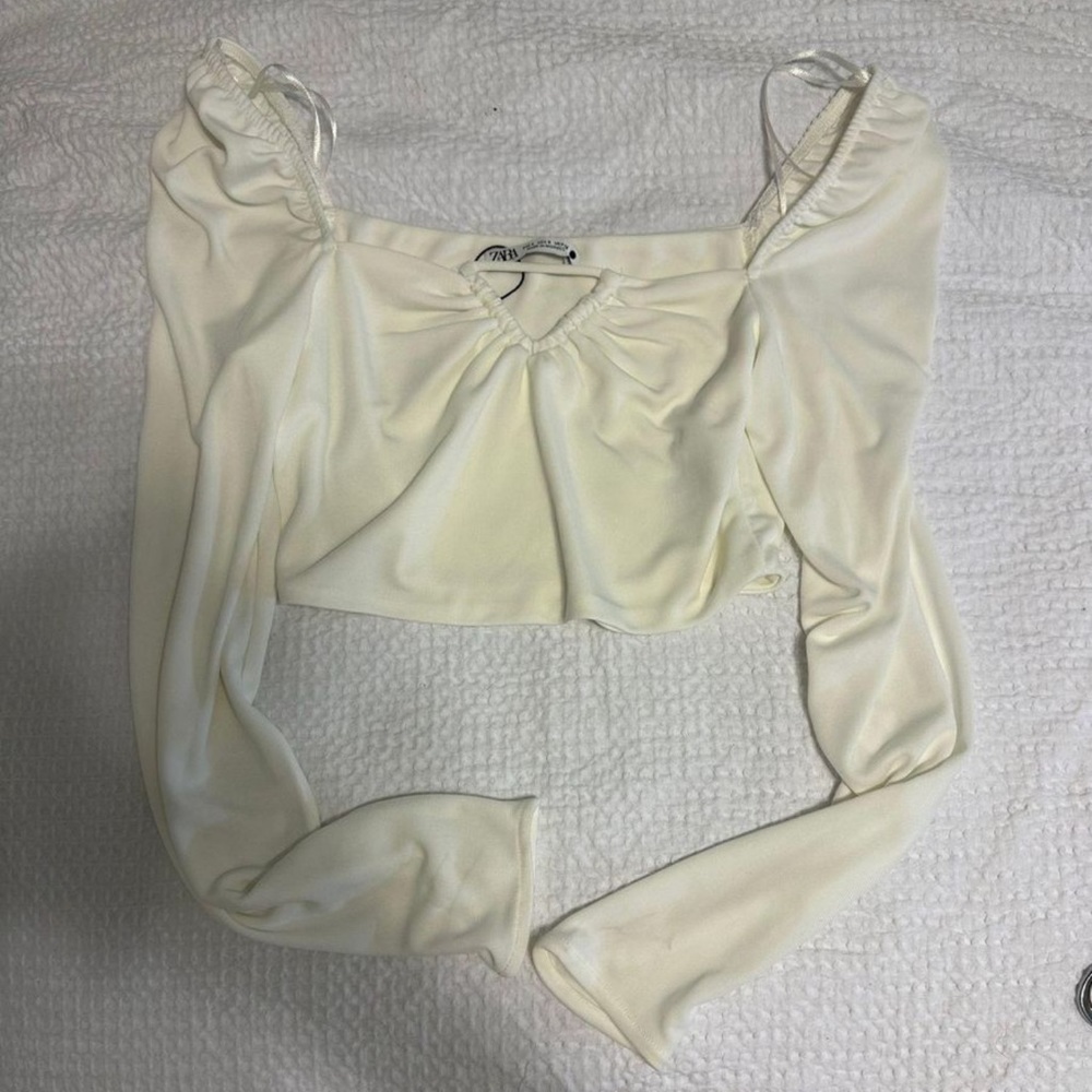 Zara crop top